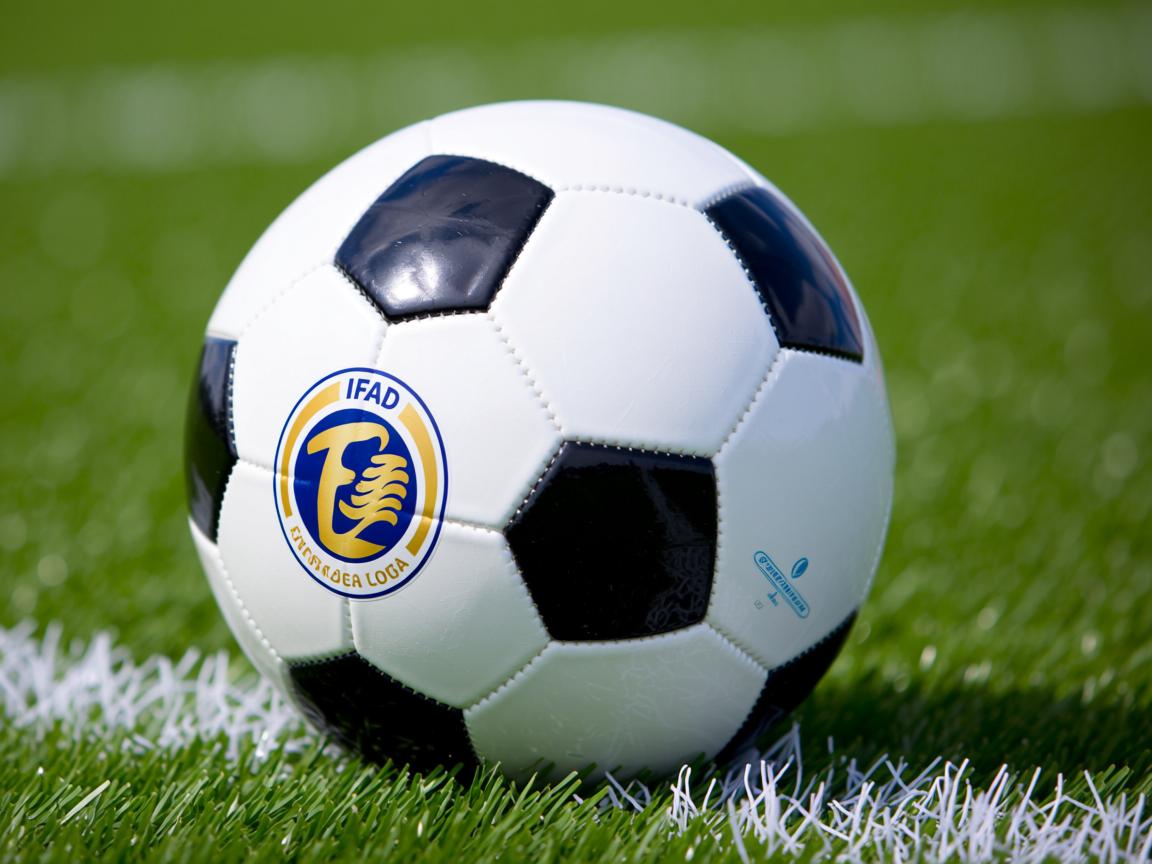 米兰体育平台-中美蝶泳中段配速策略大不同，中游体育蝶泳视频  第3张