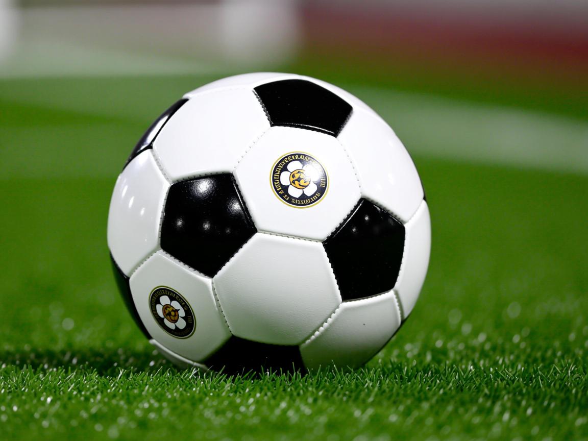 米兰体育官方网站-中美蝶泳划水周期趋于高效稳定，蝶泳划频  第2张