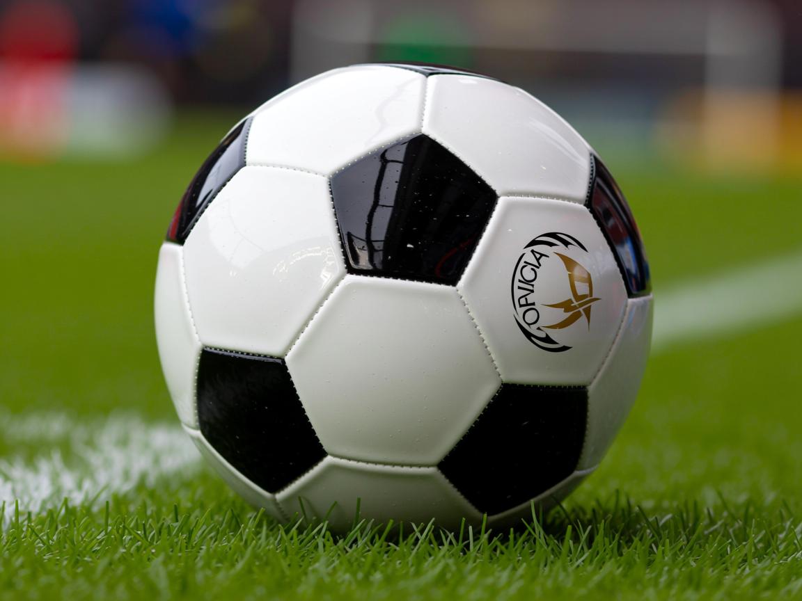 米兰体育平台-乒乓球队备战状态稳定,乒乓球比赛状态 第1张