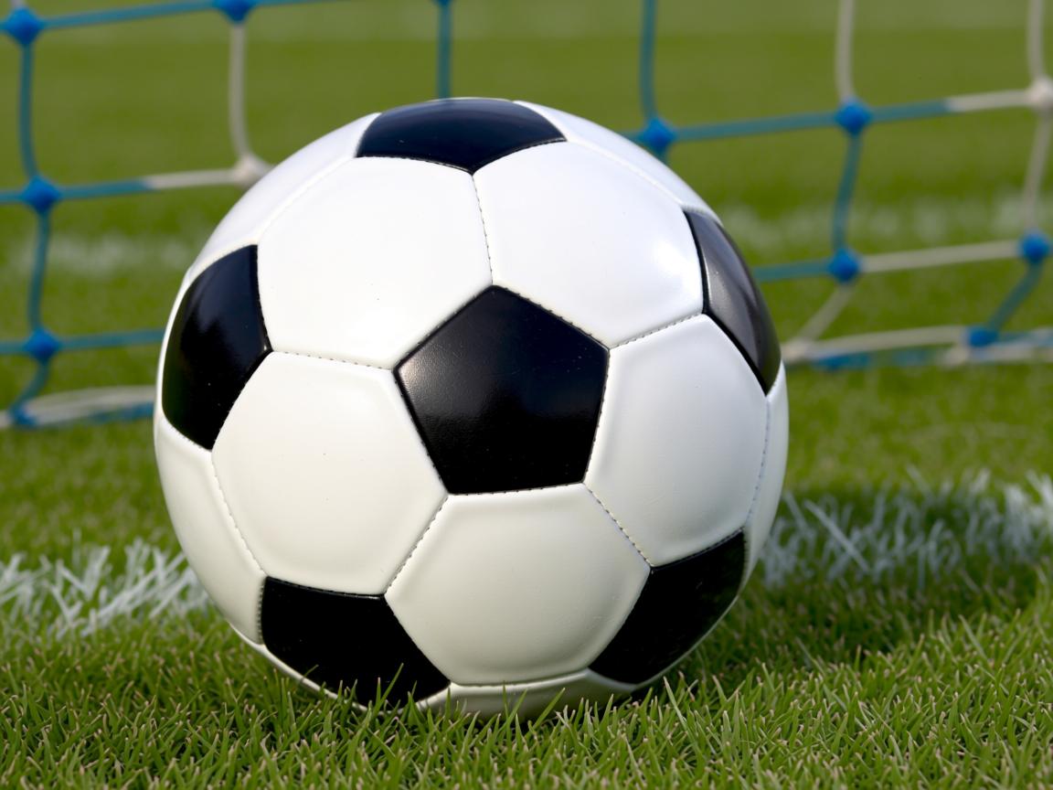 ac米兰官网-全民健身活动深入社区增进健康，社区全民健身项目